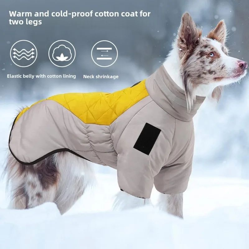 Dog wearing the Waterproof Warm Winter Dog Coat - photo 1